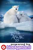 To the Arctic 3D poster, copyright in handen van productiestudio en/of distributeur