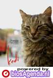 Kedi poster, © 2016 Cinema Delicatessen