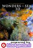 Wonders of the Sea 3D poster, © 2017 Dutch FilmWorks