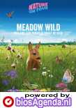 Nature on Tour Meadow Wild poster, copyright in handen van productiestudio en/of distributeur