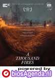 A Thousand Fires poster, copyright in handen van productiestudio en/of distributeur