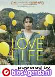 Love Life poster, copyright in handen van productiestudio en/of distributeur